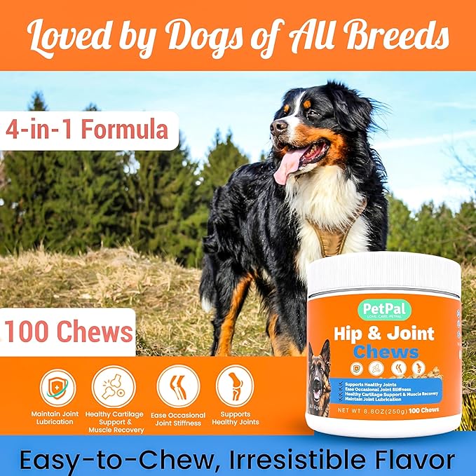 Hip & Joint Support Chews for Dogs – 100 Count, Soft Chews with Glucosamine, Chondroitin Sulfate & MSM – Mobility, Cartilage & Joint Stiffness Relief Supplement