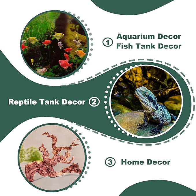 Natural Wood Coral Driftwood for Aquarium Fish Tank Decor,Assorted Driftwood Branch for Reptile Decor (Coral Driftwood Large (14 to18 Inch)-Pack of 1)