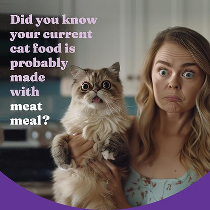 Halo Holistic Cage Free Chicken Cat Food, Healthy Grains Dry Cat Food, Complete Digestive Health, Kibble for Adult Cats, 6 lb Bag