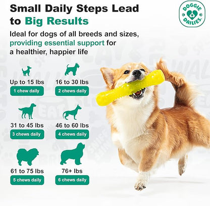 Doggie Dailies, Hip and Joint Supplement for Dogs, Glucosamine Chondroitin, Premium Hip and Joint Chews for Dogs All Breeds & Sizes, Dog Vitamins and Supplements, (Chicken) 225 Chews