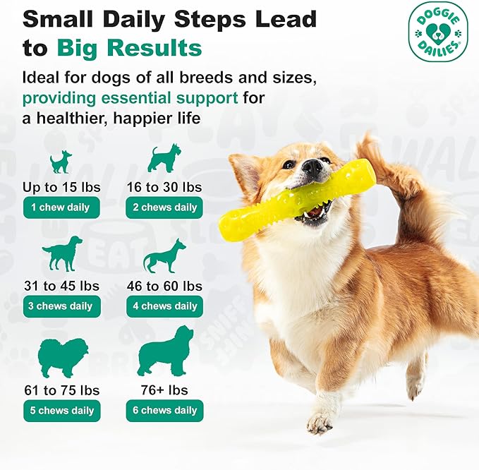 Doggie Dailies, Hip and Joint Supplement for Dogs, Glucosamine Chondroitin, Premium Hip and Joint Chews for Dogs All Breeds & Sizes, Dog Vitamins and Supplements, (Peanut Butter) 225 Chews