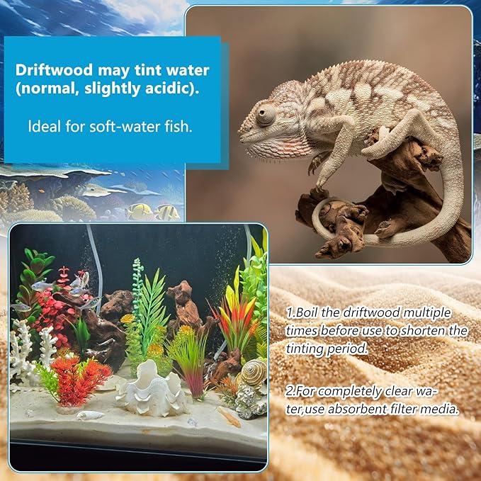 10 Pcs Natural Small Driftwood for Aquarium, Aquarium Driftwood Freshwater 2-4 Inch, Assorted Size Mopani Wood, Twisted Branches for Fishtank Accessories, Reptile Terrariums Decorations