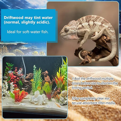 10 Pcs Natural Small Driftwood for Aquarium, Aquarium Driftwood Freshwater 2-4 Inch, Assorted Size Mopani Wood, Twisted Branches for Fishtank Accessories, Reptile Terrariums Decorations