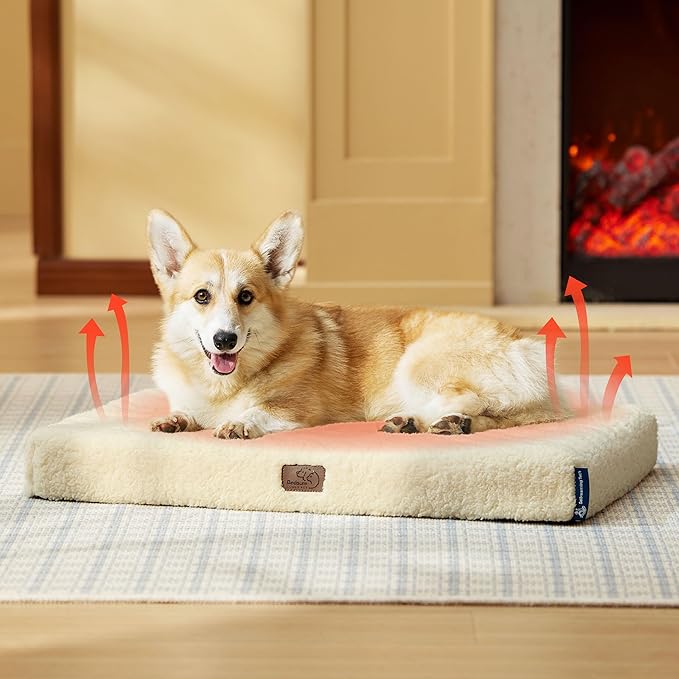 Bedsure Medium Dog Bed for Medium Dogs  Self Warming Orthopedic Dog Beds with Removable Washable Cover, Egg Crate Foam Pet Bed Mat, Ashen Cream