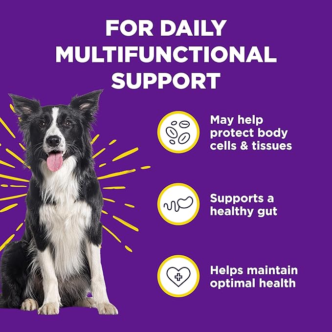 WildPaw WonderBites for Vitamins & Minerals - Essential Probiotic Supplement for Dog Care - Soft Chew Dog Multivitamin - Supports Digestive Health, Immune Health & Joint Health - 90 Soft Chews