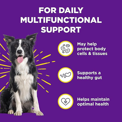 WildPaw WonderBites for Vitamins & Minerals - Essential Probiotic Supplement for Dog Care - Soft Chew Dog Multivitamin - Supports Digestive Health, Immune Health & Joint Health - 90 Soft Chews