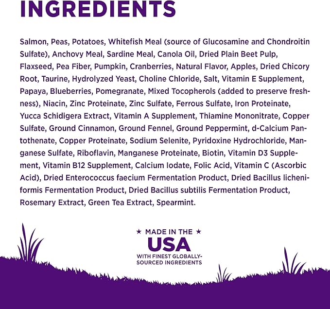 Wellness Complete Health Senstive Skin & Stomach Natural Adult Dry Dog Food, Salmon and Rice Recipe, 24 Pound Bag