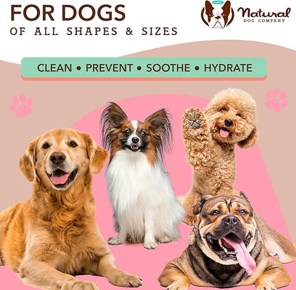 Natural Dog Company Grooming Wipes with Aloe Vera, Cleanses, Soothes, & Deodorizes, Fragrance Free, Hypoallergenic, Biodegradable - Dog Wipes for Ear, Paws, Face and Butt (50 ct)