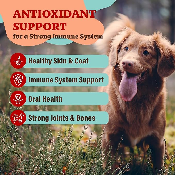 Natural Dog Company Dog Food Topper, Antioxidant Berry Granules for Dogs, Natural Dog Vitamins & Superfood Topper, Holistic Dog Nutrition, Dog Immune Support, Berry Dog Supplement, 8oz Resealable