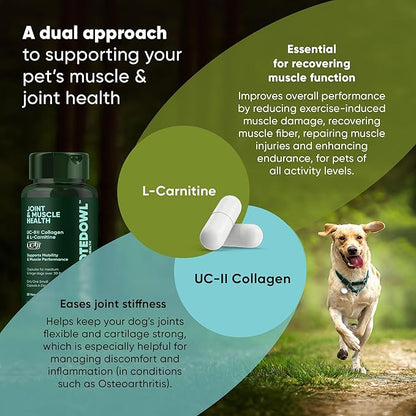Rooted Owl Joint and Muscle Support for Large Dogs (Over 30 Lbs) - Supplement with UC-II Type II Collagen and L-Carnitine - 30 Count