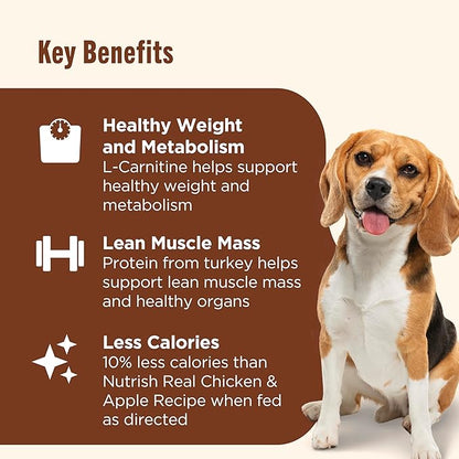 Nutrish Rachael Ray Weight Management Wet Dog Food Premium Paté Real Turkey & Pumpkin Recipe, 13 oz. Can, 12 Count