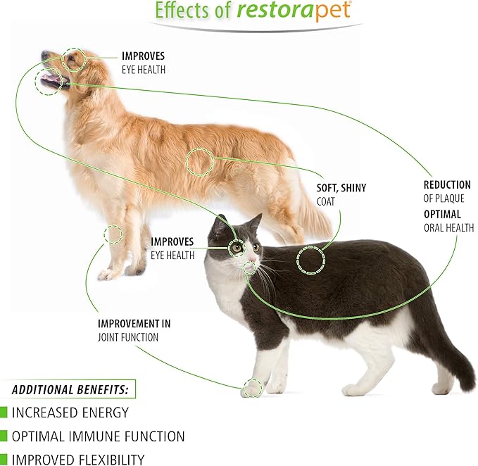 RestoraPet 1-Pack Dog & Cat Beef Liquid Multivitamin | Dog Arthritis Pain Relief | Hip & Joint Vitamins for Dogs - Anti Inflammatory Supplement for Dogs & Cats | Organic & Non-GMO, Vet Approved