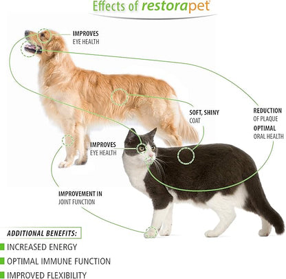 RestoraPet 1-Pack Dog & Cat Beef Liquid Multivitamin | Dog Arthritis Pain Relief | Hip & Joint Vitamins for Dogs - Anti Inflammatory Supplement for Dogs & Cats | Organic & Non-GMO, Vet Approved