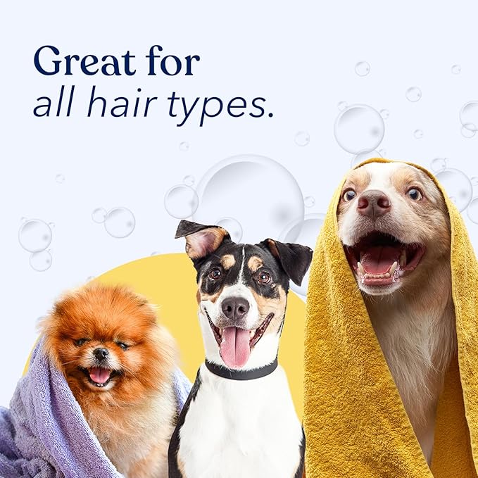 Honest Paws Dog Conditioner - Detangle & Moisturize - Premium Pet Conditioner for Itchy and Dry Skin - Hydrate Sensitive Skin - Shiny Coat Soft Hair Smooth Fur - Mandarin & Berry - 8oz