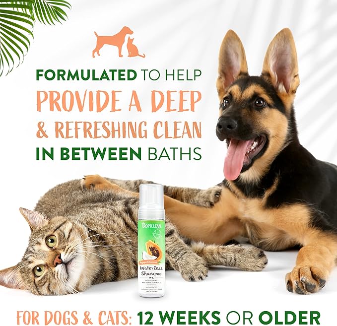 TropiClean No Rinse Waterless Dog Shampoo | Detangling & Deodorizing Dry Shampoo for Smelly Pets | Moisturizes Dry Skin | USA Made | Papaya Scent | 7.4oz