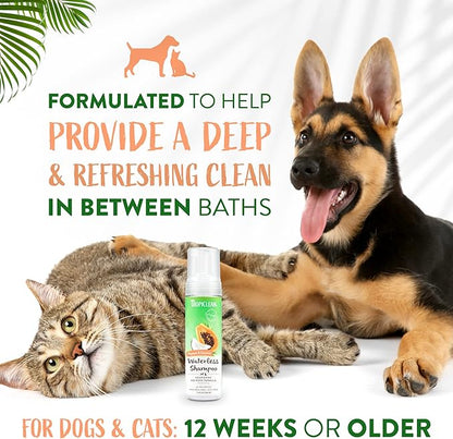TropiClean No Rinse Waterless Dog Shampoo | Detangling & Deodorizing Dry Shampoo for Smelly Pets | Moisturizes Dry Skin | USA Made | Papaya Scent | 7.4oz
