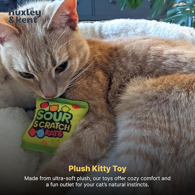 Huxley & Kent Plush Cat Toy - Interactive Catnip Toy for Cats & Kittens - Soft with Crinkle & Catnip - Fun Indoor Play - Sour Scratch Kats
