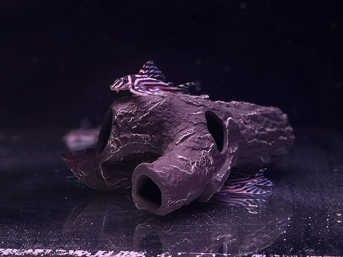 Plecoceramics Aquarium Ceramic Decorations Cave Betta Stone Decor - Aquarium Fish Tank Hideway Decor for breeding Cichlids Plecos Betta Toys Hideout (Snag)