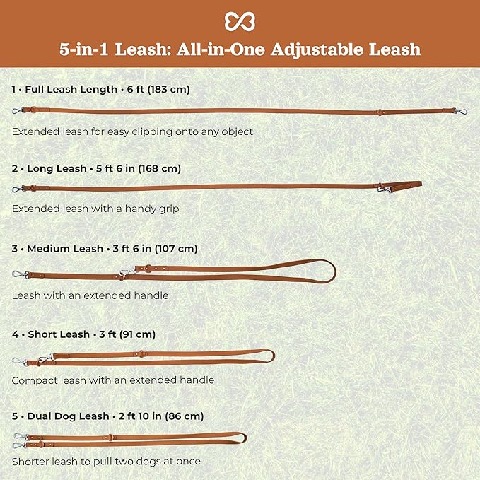 Dog Harness and Leash Set | BearBone No Pull Dog Harness and Waterproof Dog Collar and Leash Set | Heavy Duty Dog Harness, Leash and Collar | Leash, Collar and Harness Large Size Dog (Brown, Large)