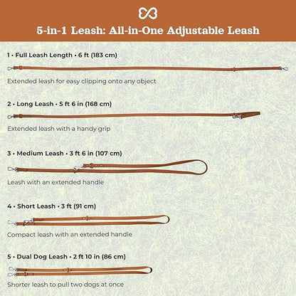 Dog Harness and Leash Set | BearBone No Pull Dog Harness and Waterproof Dog Collar and Leash Set | Heavy Duty Dog Harness, Leash and Collar | Leash, Collar and Harness Large Size Dog (Brown, Large)