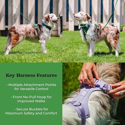 Dog Harness and Leash Set | BearBone No Pull Dog Harness and Waterproof Dog Collar and Leash Set | Heavy Duty Dog Harness, Leash and Collar | Leash, Collar and Harness Large Size Dog (Green, Large)