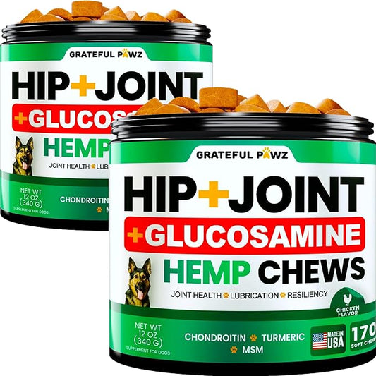 (2 Pack) Hemp Hip and Joint Supplement for Dogs - Glucosamine for Dogs - 340 Joint Pain Relief Treats - Chondroitin, MSM, Hemp Oil - Advanced Health Supplement - Mobility Support Chews - Made in USA