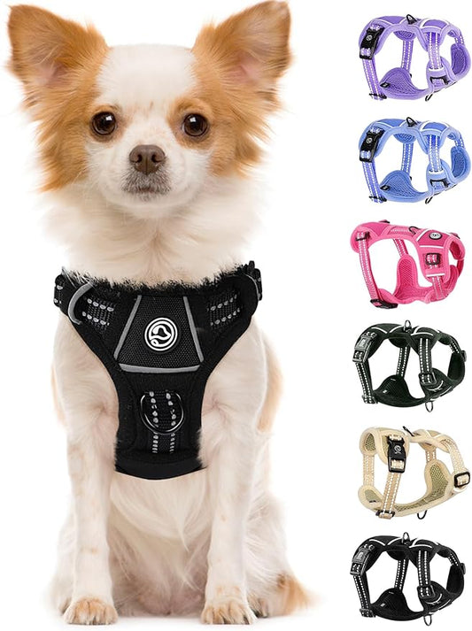 Dog Harness Small Sized Dog, No Pull Pet Harness with 2 Leash Clips, Adjustable Soft Padded Dog Vest Harnesses, Reflective No-Choke Pet Oxford Vest