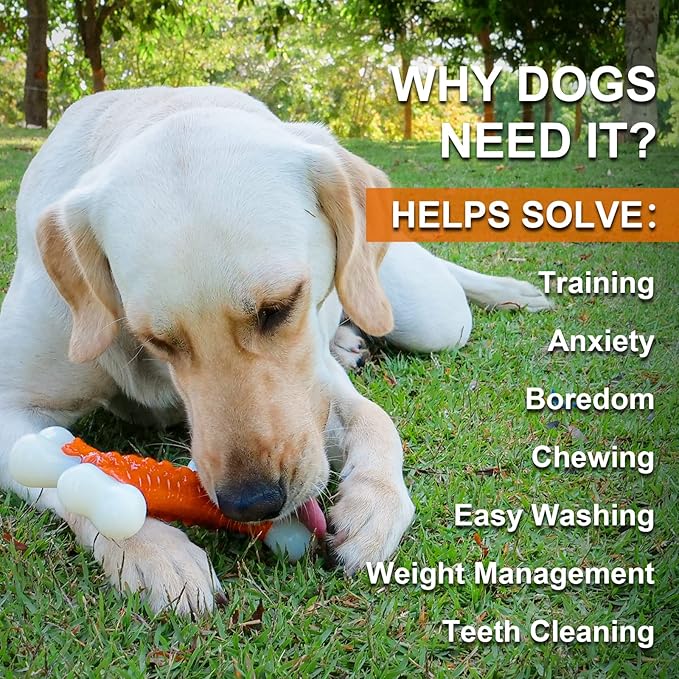 Dog Toys for Aggressive Chewers Large Breed, Tough Bones, Nylon Puppy Teething Chew Toys Medium Dogs, Heavy Duty Peanut Butter Flavor Toys