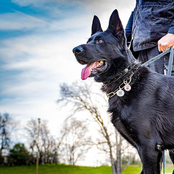 Dog Tags Personalized QR Code and Do Not Pet Dog Tags, Modifiable Pet Online Profile, Multiple Emergency Contact, Scan QR Code Send Pet GPS Location Email