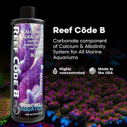 Brightwell Aquatics - Reef Code B - Balanced Calcium & Alkalinity System Water Conditioner - For All Saltwater Marine Fish & Reef Fish Tanks - Aquarium Water Treatments, 8.45 fl oz