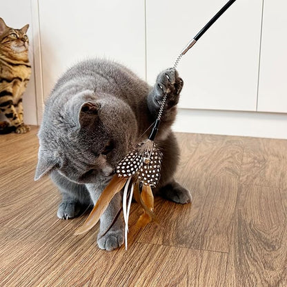 TTcat Cat Wand Toys,Flexible Spring and 4PCS Feather Refills,Teaser Toy,Interactive Toys for Indoor Cats and Kitten to Play Chase Exercise.