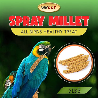 5LBS GMO-Free Sun Dried Spray Millet - Original Bird Treat Millet for Parakeets, Cockatiels, Finches & More - Non-GMO, High in Amino Acids, Easy Storage, Tasty & Healthy Bird Snacks (5 lbs)