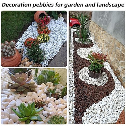 11 Lbs Natural River Rocks for Plants 0.3” Small Decorative Pebbles for Plant Pot Landscaping Garden Stones White Aquarium Gravel, Mini Vase Filler, Terrarium Rocks in Bulk, Home Decor