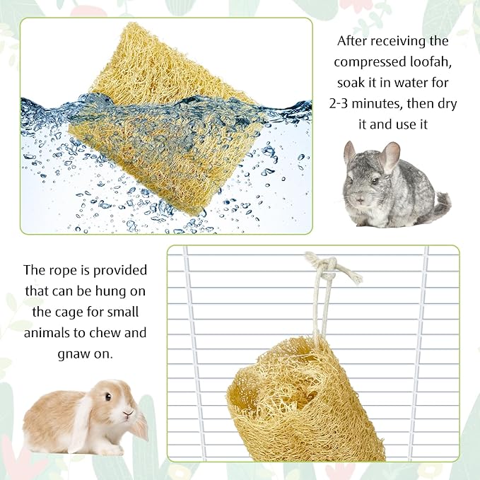 BNOSDM Bunny Chew Toys Natural Loofah 4PCS Bunny Teeth Grinding Toy Rabbit Fiber-Rich Treats Pet Entertainment Accessories for Rabbits Chinchillas Guinea Pig（L）