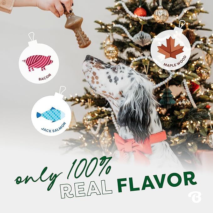 Benebone Small 4-Pack Dog Chew Toys for Aggressive Chewers, Made in USA, 30lbs and Under