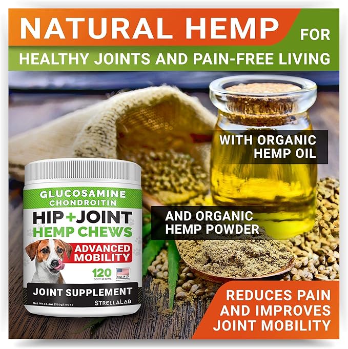 Large Breed Hemp + Glucosamine Dog Joint Supplement - Hemp Chews for Dogs Hip Joint Pain Relief - Omega 3, Chondroitin, MSM - Advanced Mobility Hemp Oil Treats for Large Dogs - Made in USA - 240 Ct