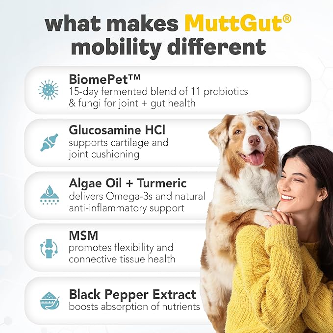 MuttGut® Mobility Chews for Dogs - Glucosamine Chews with MSM, Turmeric & Algae Oil Powder - Joint Support & Hip Health Supplement for Dogs - Vet Recommended, cGMP Certified - 60 Soft Chews