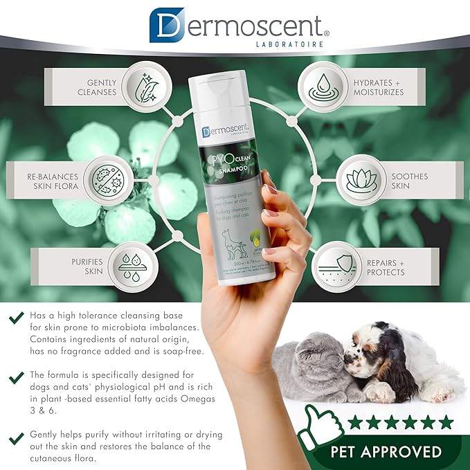 Dermoscent PYOclean Shampoo for Dogs & Cats - Anti-Itch Sensitive Formula to Control Skin Infections & Allergy Symptoms - 200 ml