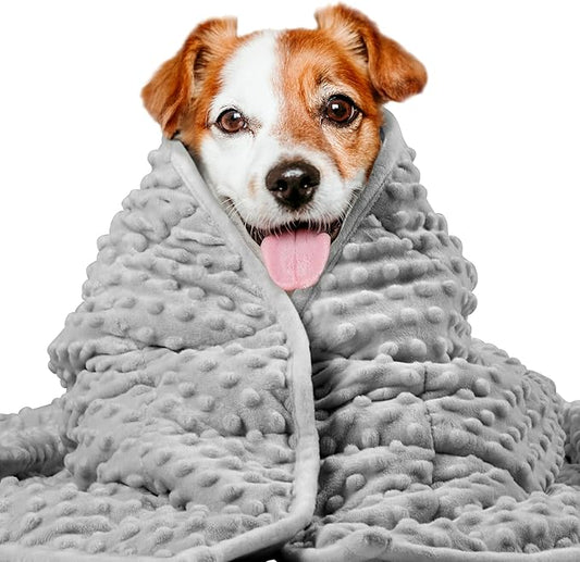 LaSyL Weighted Blanket for Pets | Thunder Blanket for Dogs Anxiety | Premium Soft Minky | Relaxation & Calming & Anti Anxiety | Used in Car, Bed, Couch | Dark Grey, Washable Small 32" L x 24" W