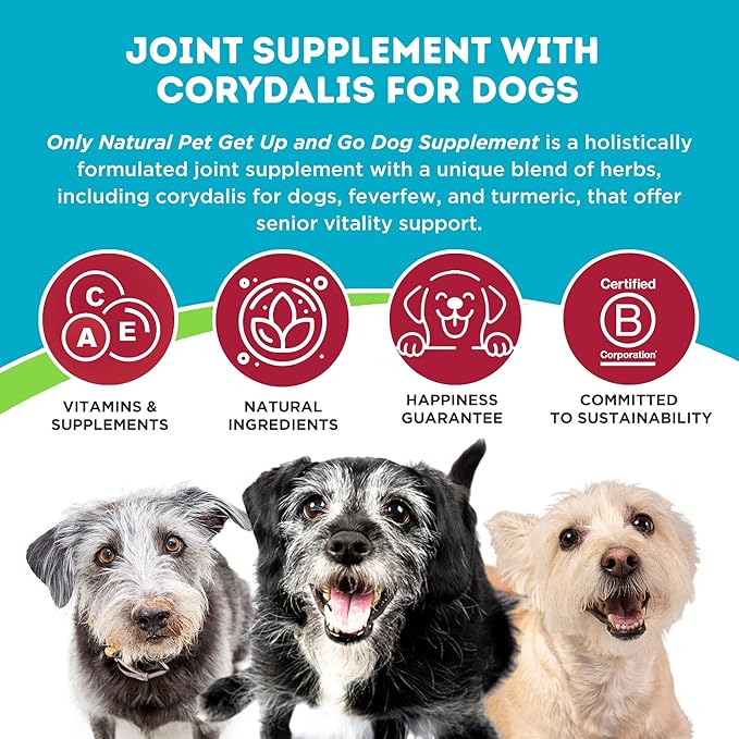 Only Natural Pet Get Up & Go Herbal Joint Support Supplement for Dogs - Holistically Formulated with Corydalis & Turmeric Hip & Joint Daily Vitamin for Senior Dog - Bacon Flavor - 60 Soft Chews