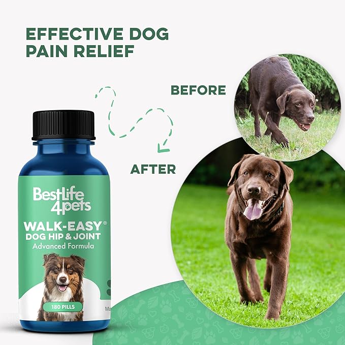 Large Breed Hip and Joint Supplement for Dogs - Premium Natural Joint Support and Mobility Relief Helps Ease Stiffness so Senior Dogs can Climb Stairs, Walk Pain Free and Play Again (180 Tiny Pills)