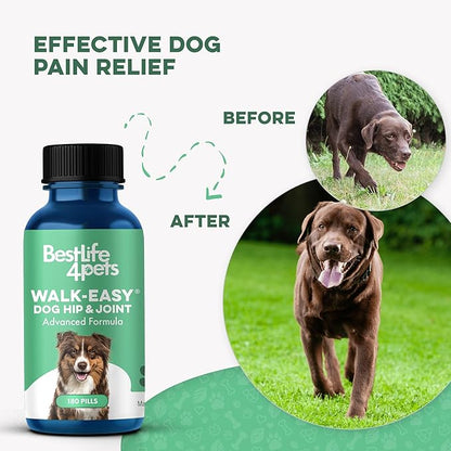 Large Breed Hip and Joint Supplement for Dogs - Premium Natural Joint Support and Mobility Relief Helps Ease Stiffness so Senior Dogs can Climb Stairs, Walk Pain Free and Play Again (180 Tiny Pills)