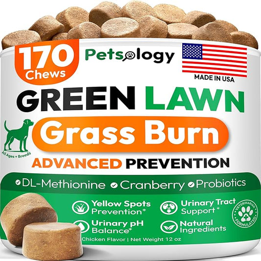 Dog Urine Neutralizer for Lawn - 170 Green Lawn Chews for Dogs - Pee Grass Burn Spot Saver Caused by Dog Urine with Probiotics & Digestive Enzymes - Advanced Gut Health Supplement, Rocks