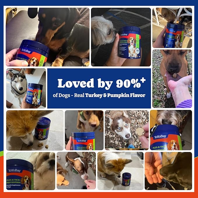 Flea and Tick Prevention for Dogs Chewable - 180 Soft Chews, Turkey & Pumpkin Flavor - Dog Flea and Tick Treatment Chewable, Natural Defense - Dog Immune Support Supplement