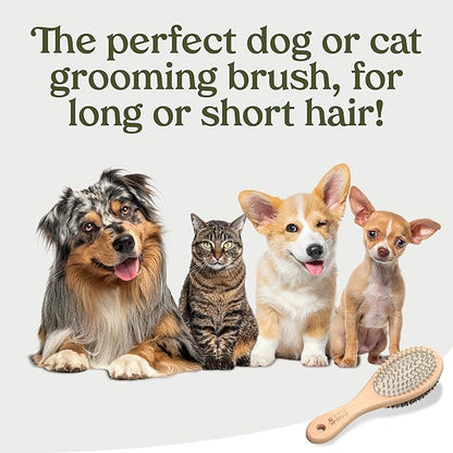 PAWFUME 2-in-1 Pet Brush  Dog Hair Brush  Cat Hair Brush  Dog Grooming Brush  Cat Grooming Brush  Soft Dog Brush for Long Haired Dogs  Soft Cat Brush for Long Haired Cats  Short Hair Dog Brush