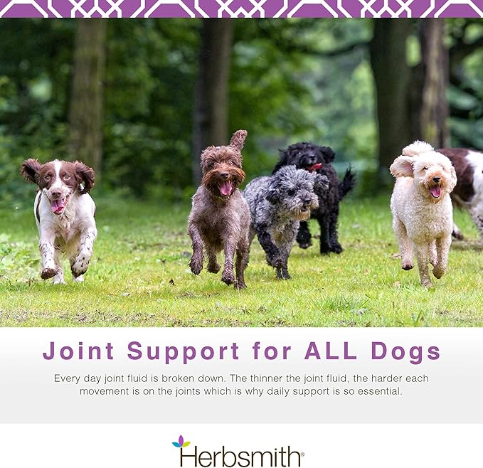 Herbsmith Sound Dog Viscosity  Advanced Joint Support for Dogs  Veterinarian Recommended Glucosamine for Dogs, Hyaluronic Acid, Chondroitin, MSM  Natural Arthritis Pain Relief  500g Powder