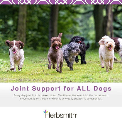 Herbsmith Sound Dog Viscosity  Advanced Joint Support for Dogs  Veterinarian Recommended Glucosamine for Dogs, Hyaluronic Acid, Chondroitin, MSM  150g Powder