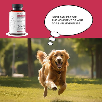 animaux  in Motion 365 for Dogs, Joints, Bones, Mobility, Ligaments and Tendons, Green-Lipped Mussel, Willow Bark and Devil_ Claw, Natural Pain Relief, 60 Chewable Tablets, 60 Days Supply