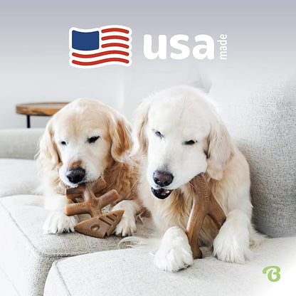 Benebone 2-pack Fishbone/Wishbone Durable Dog Chew Toys, Real Fish, Real Bacon, Made in USA, Medium