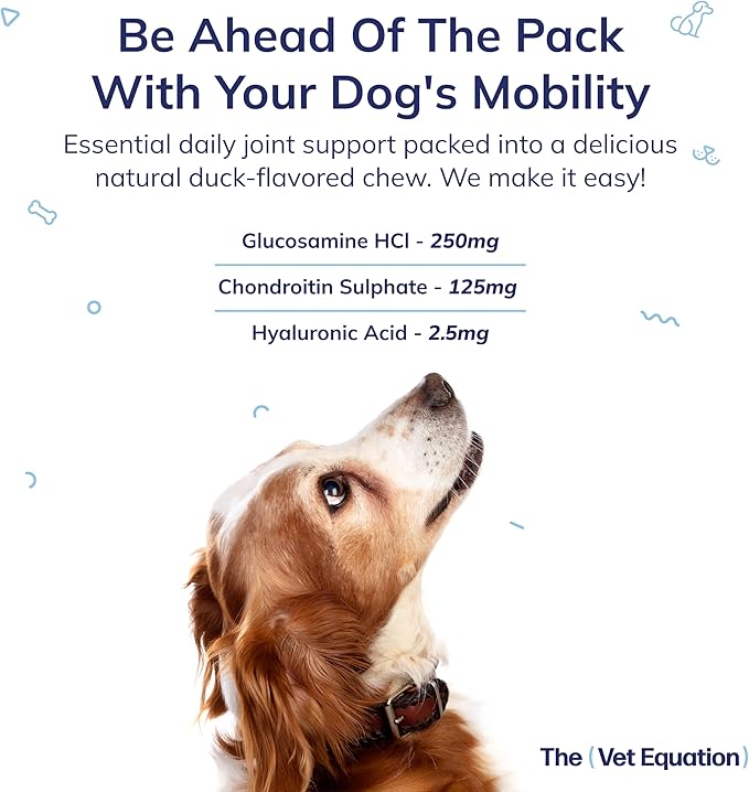 Joints & Mobility Support for Dogs  Duck-Flavored, 90 Chews  with Glucosamine, Chondroitin & Hyaluronic Acid  Supports Joint Health, Cartilage & Flexibility for Active Mobility